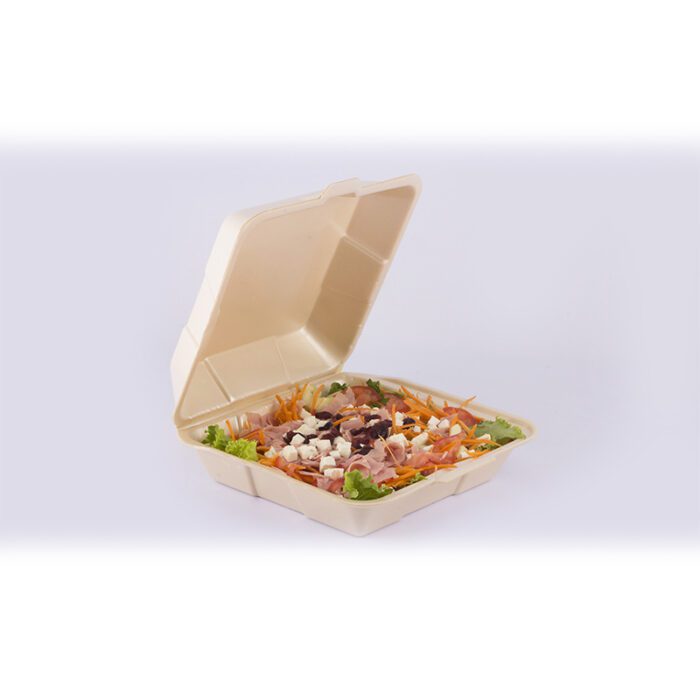Contenedor 9x9 liso degradable - Image 3